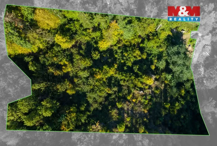 Prodej lesa, Lomnice, 7450 m2