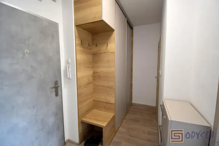 Pronájem bytu 1+1, Ostrava, Na Výspě, 40 m2