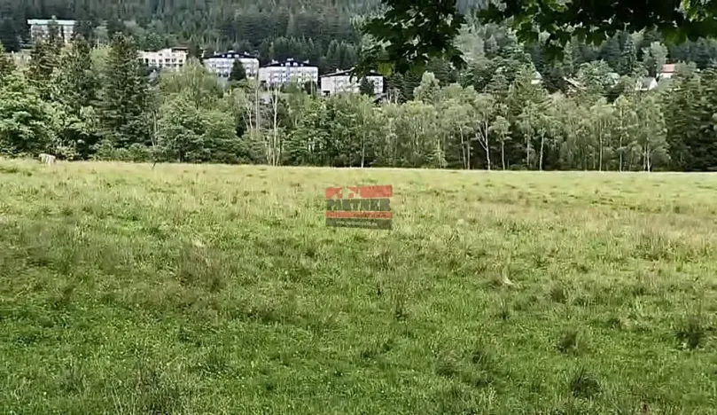 Prodej louky, Železná Ruda, 1722 m2