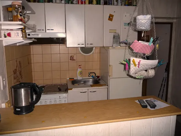 Prodej bytu 1+kk, Praha - Holešovice, Tovární, 29 m2