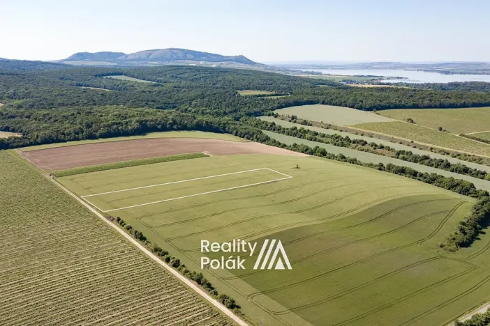 Prodej pole, Bulhary, 7380 m2