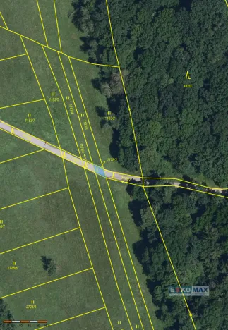 Prodej lesa, Břeclav - Charvátská Nová Ves, 58 m2