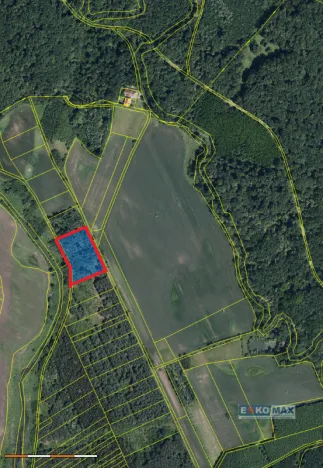 Prodej lesa, Břeclav - Charvátská Nová Ves, 3405 m2