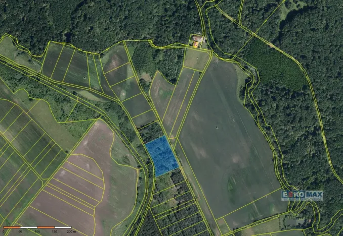 Prodej lesa, Břeclav - Charvátská Nová Ves, 3405 m2