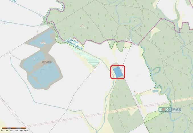 Prodej lesa, Břeclav - Charvátská Nová Ves, 3405 m2