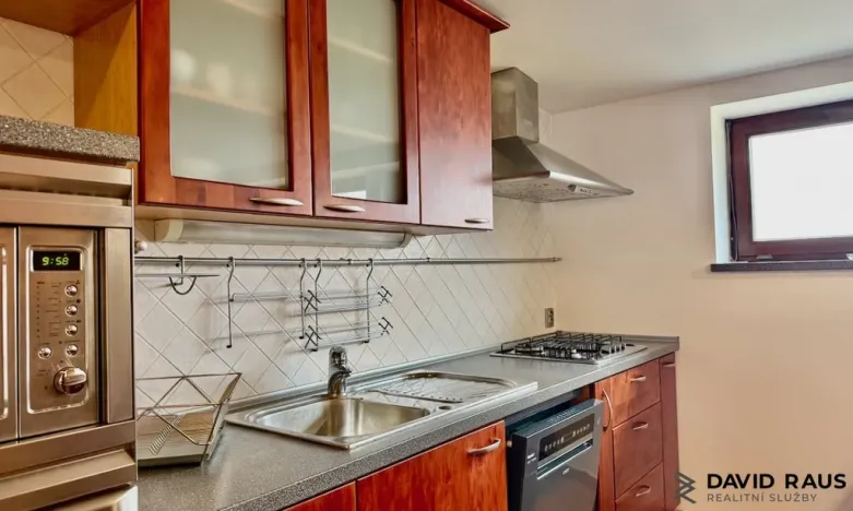 Pronájem bytu 1+kk, Brno - Veveří, Gorkého, 61 m2