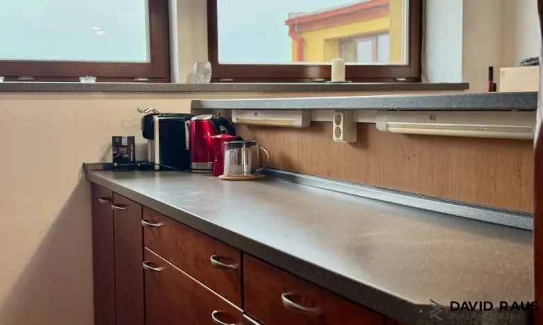 Pronájem bytu 1+kk, Brno - Veveří, Gorkého, 61 m2