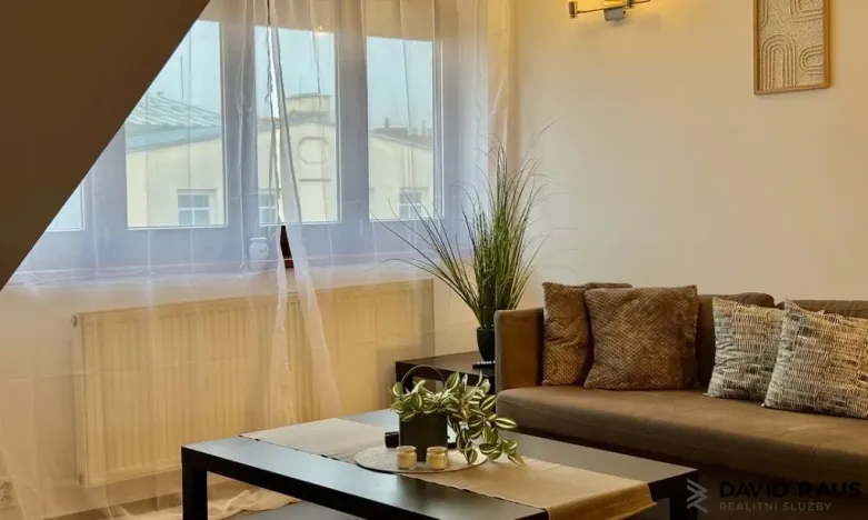 Pronájem bytu 1+kk, Brno - Veveří, Gorkého, 61 m2