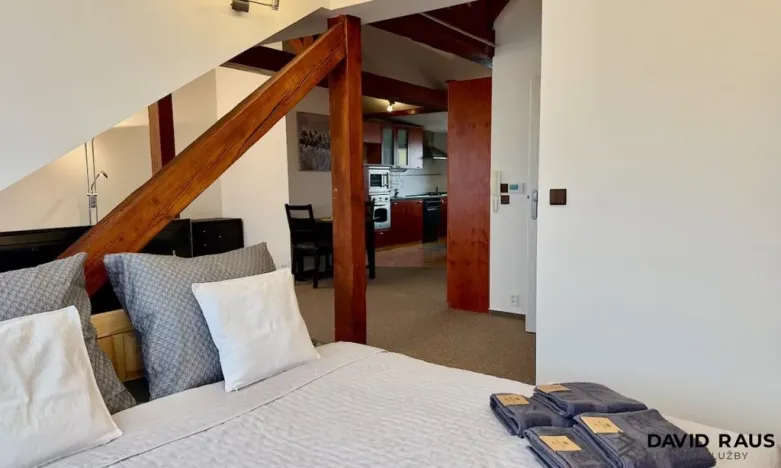 Pronájem bytu 1+kk, Brno - Veveří, Gorkého, 61 m2