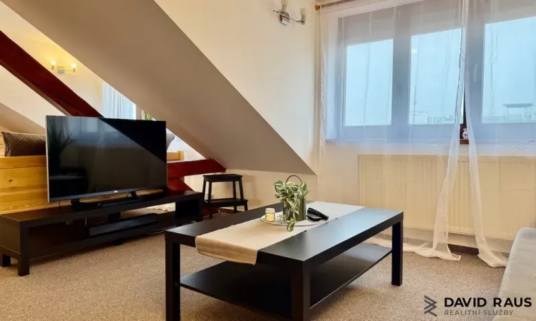 Pronájem bytu 1+kk, Brno - Veveří, Gorkého, 61 m2