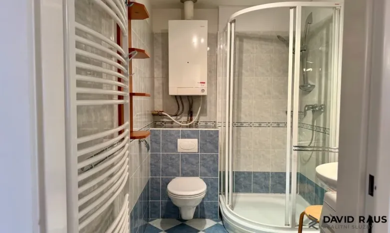 Pronájem bytu 1+kk, Brno - Veveří, Gorkého, 61 m2