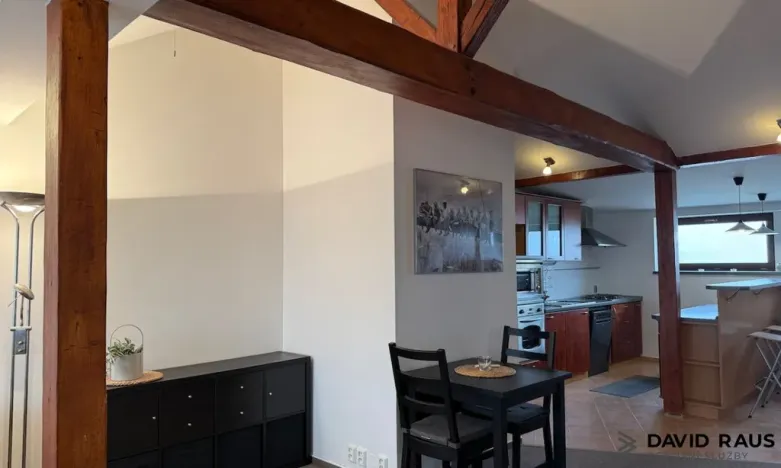 Pronájem bytu 1+kk, Brno - Veveří, Gorkého, 61 m2