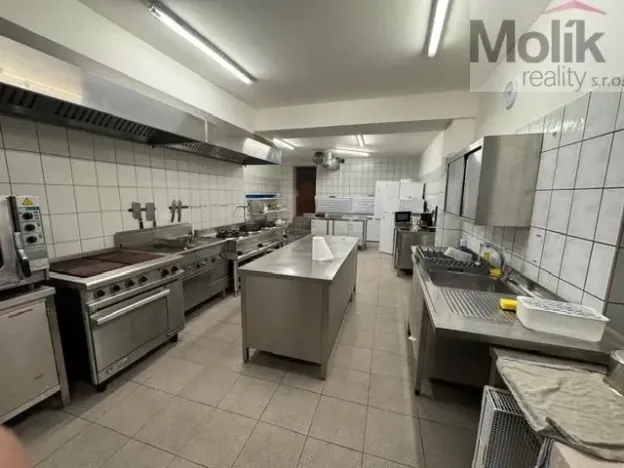 Prodej ubytování, Český Jiřetín, 1753 m2