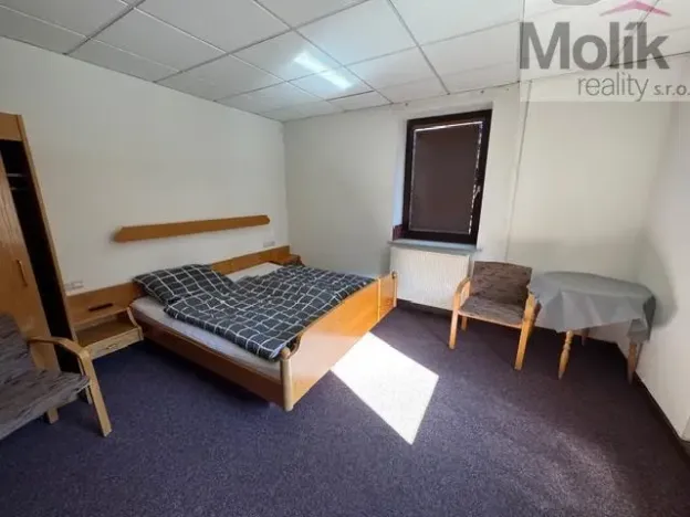 Prodej ubytování, Český Jiřetín, 1753 m2