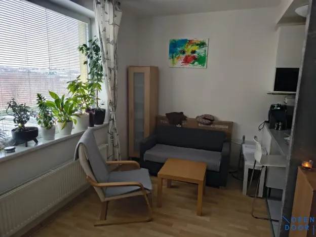 Pronájem bytu 1+kk, Brno, U Leskavy, 47 m2