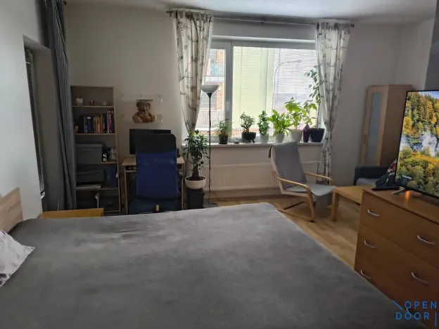 Pronájem bytu 1+kk, Brno, U Leskavy, 47 m2