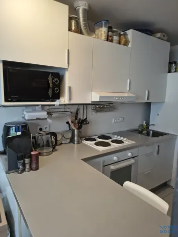 Pronájem bytu 1+kk, Brno, U Leskavy, 47 m2