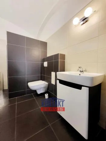 Pronájem bytu 1+kk, České Budějovice - České Budějovice 3, 48 m2