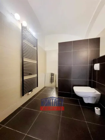 Pronájem bytu 1+kk, České Budějovice - České Budějovice 3, 48 m2