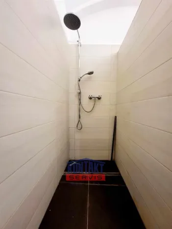 Pronájem bytu 1+kk, České Budějovice - České Budějovice 3, 48 m2