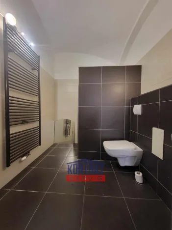 Pronájem bytu 1+kk, České Budějovice - České Budějovice 3, 48 m2