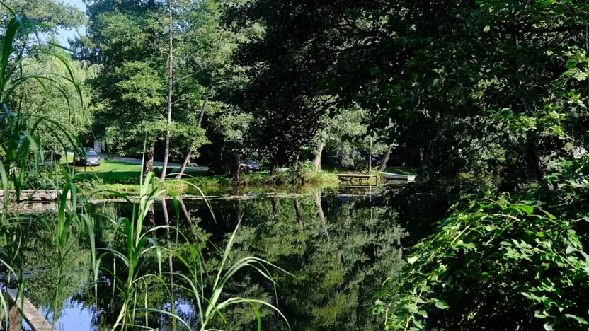 Prodej rodinného domu, Soutice, 1557 m2