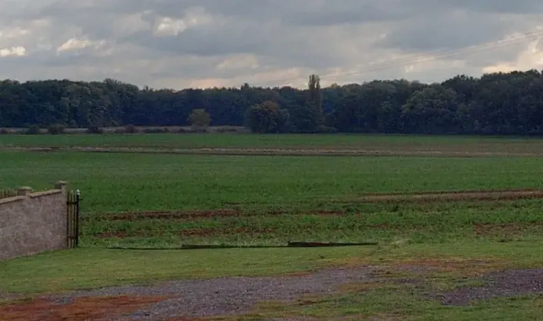 Prodej pole, Svatý Mikuláš, 4504 m2