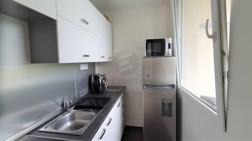 Prodej bytu 1+kk, Praha - Michle, Podle Kačerova, 29 m2