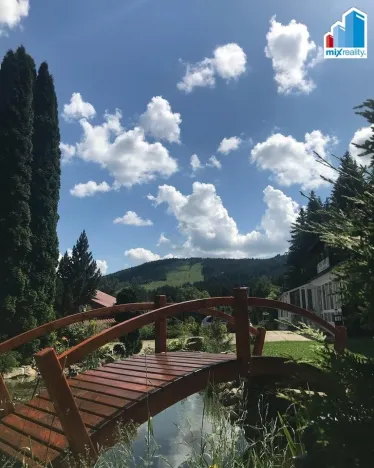 Prodej ubytování, Železná Ruda - Alžbětín, 1746 m2