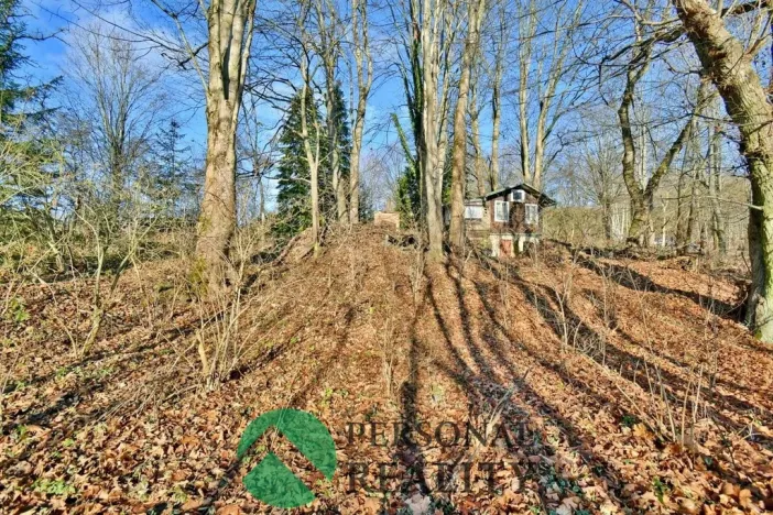 Pronájem chaty, Chodová Planá - Pístov, 28 m2