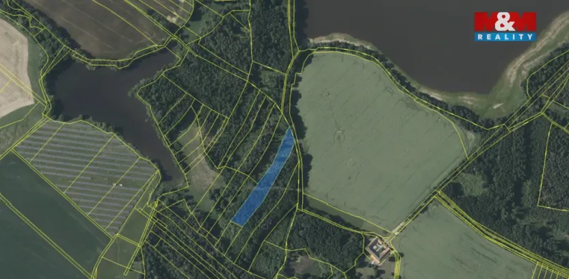 Prodej lesa, Dírná, 6834 m2