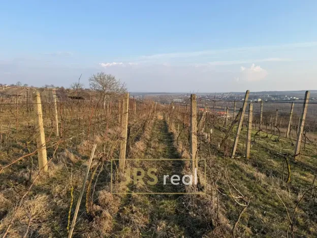 Prodej pozemku, Mutěnice, 2669 m2