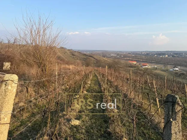 Prodej pozemku, Mutěnice, 2669 m2