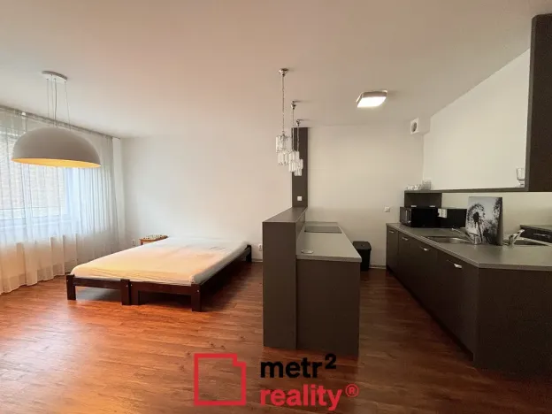 Pronájem bytu 1+kk, Olomouc, Wellnerova, 45 m2