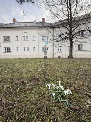 Prodej bytu 2+1, Ostrava - Hrabůvka, Jubilejní, 81 m2