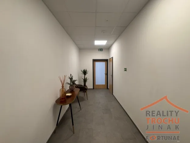 Pronájem výrobních prostor, Hradec Králové, U Fotochemy, 220 m2