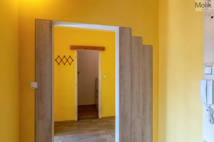 Prodej bytu 2+kk, Teplice - Trnovany, 43 m2