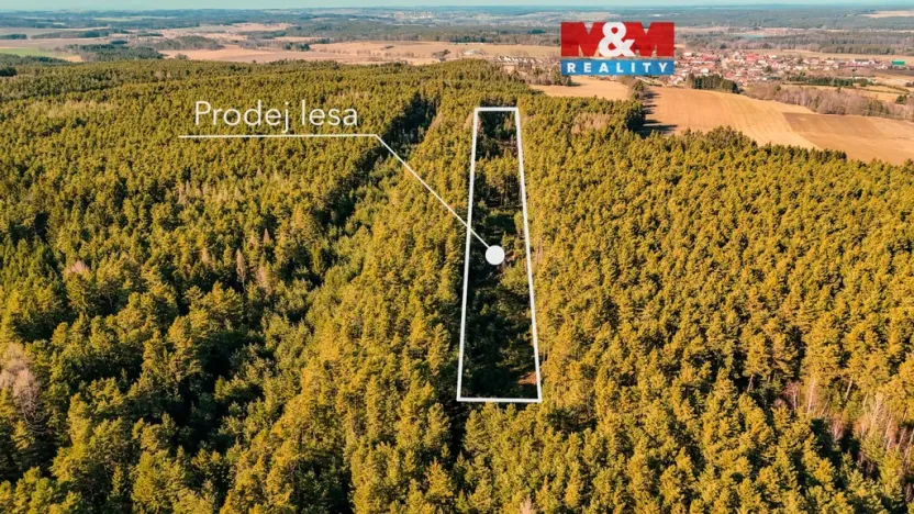 Prodej lesa, Olešnice, 18382 m2