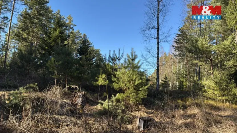 Prodej lesa, Olešnice, 18382 m2