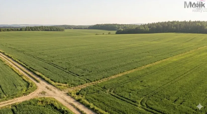 Prodej pole, Barchovice, 3780 m2