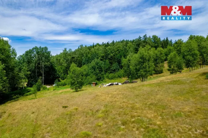 Prodej pozemku, Dlouhý Most, 8531 m2