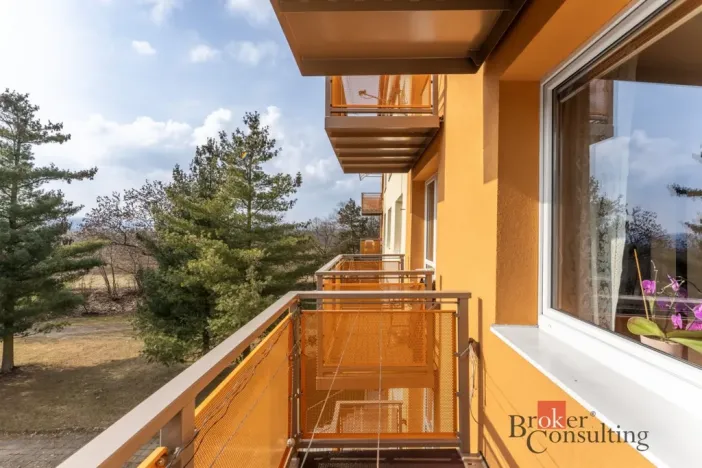 Prodej bytu 3+1, Jihlava, Slavíčkova, 87 m2