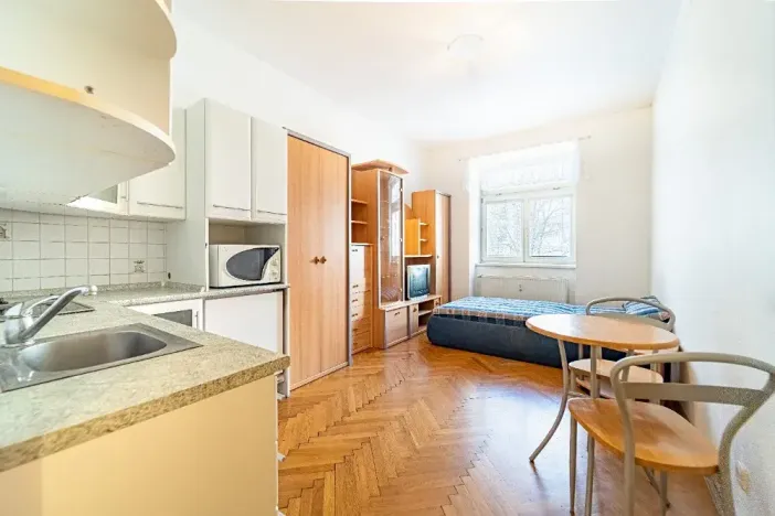 Pronájem bytu 1+kk, Praha - Podolí, Levá, 20 m2