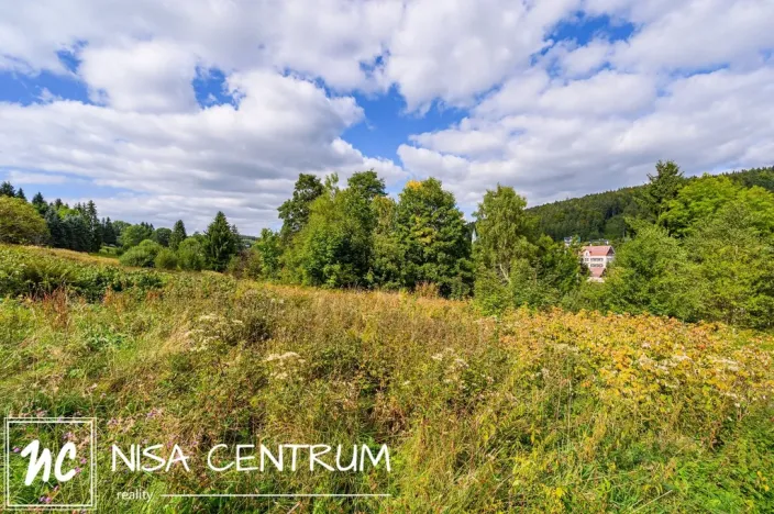 Prodej louky, Bedřichov, 2100 m2