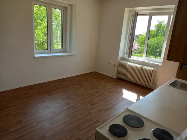 Pronájem bytu 3+kk, Holovousy, 71 m2