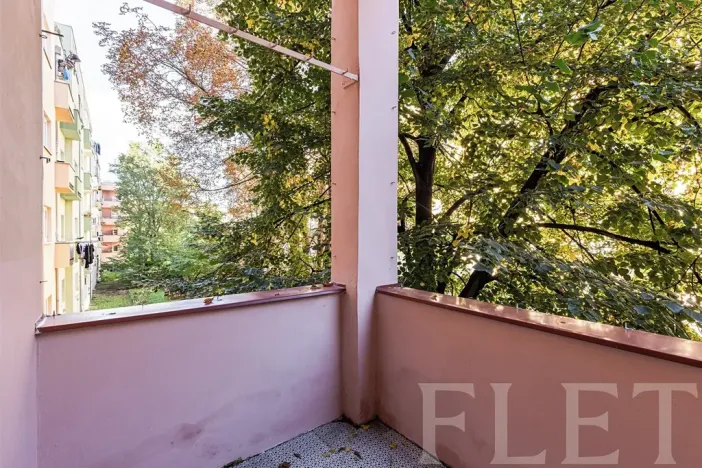 Pronájem bytu 1+kk, Praha - Žižkov, Biskupcova, 38 m2