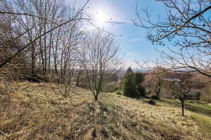 Prodej bytu 3+kk, Tisová, 71 m2