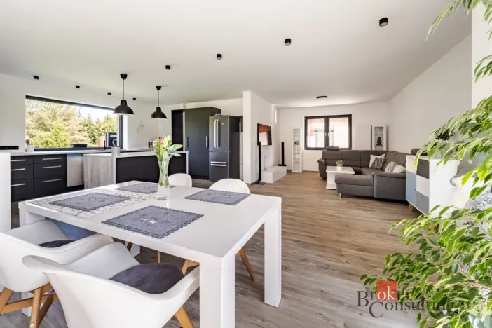 Prodej rodinného domu, Nová Ves, 351 m2