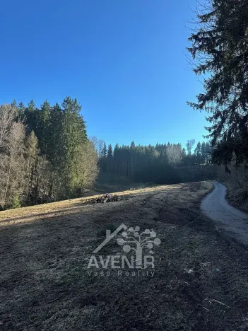 Prodej louky, Bozkov, 15029 m2