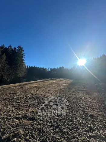 Prodej louky, Bozkov, 15029 m2